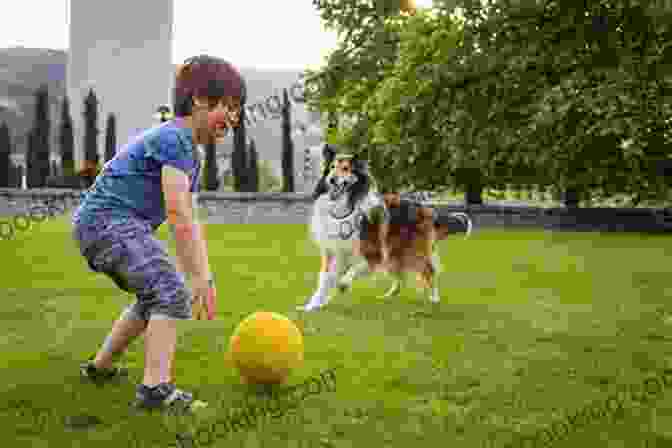 A Boy And His Dog Play In The Park Life With Forty Dogs: Misadventures With Runts Rejects Retirees And Rescues