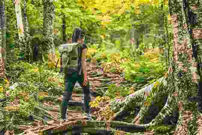 A Hiker Walking Through A Forest My Outdoor Life: The Sunday Times