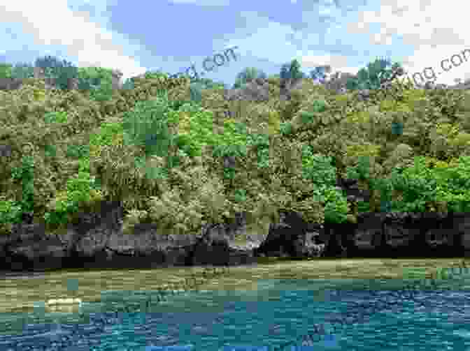 A Historical Photograph Of Ngemelis Island In Palau, Capturing Its Ancient Stone Ruins And Lush Vegetation, Providing A Glimpse Into The Island's Rich Cultural Heritage. A Personal Tour Of Palau
