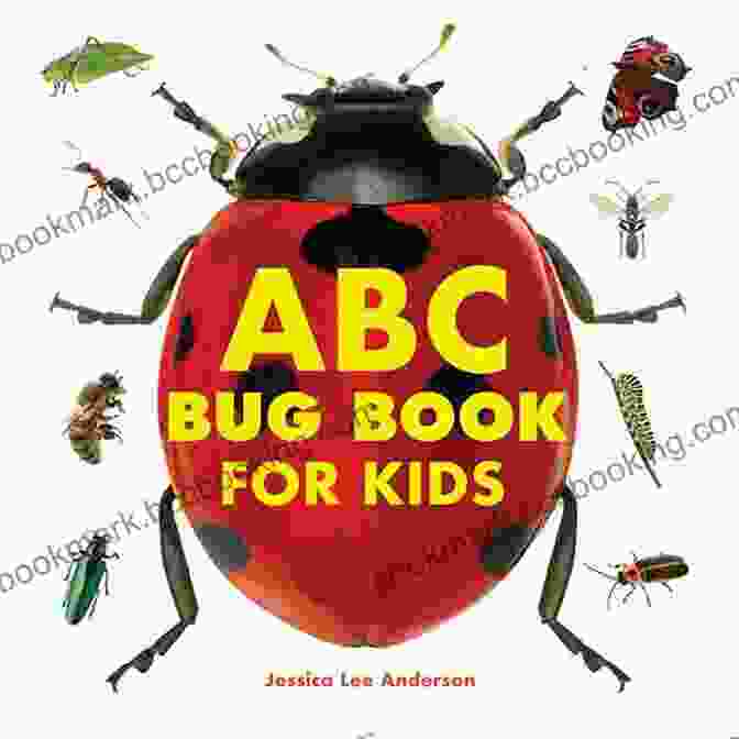 Abc Bug For Kids Cover ABC Bug For Kids