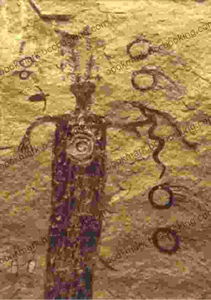 Ancient Mississippi Religion Petroglyph Depicting The Sun God Gods Of The Mississippi (Religion In North America)