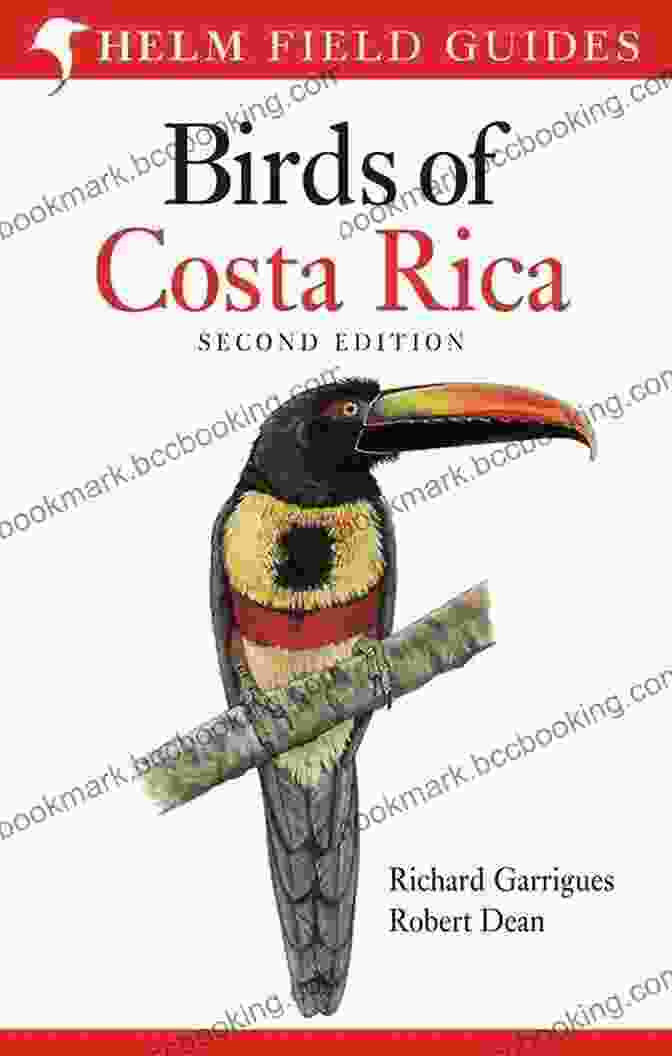 Avitopia Birds Of Costa Rica Book Cover AVITOPIA Birds Of Costa Rica