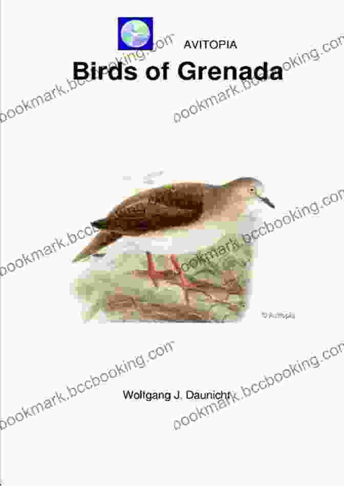 Avitopia: Birds Of Grenada Cover AVITOPIA Birds Of Grenada