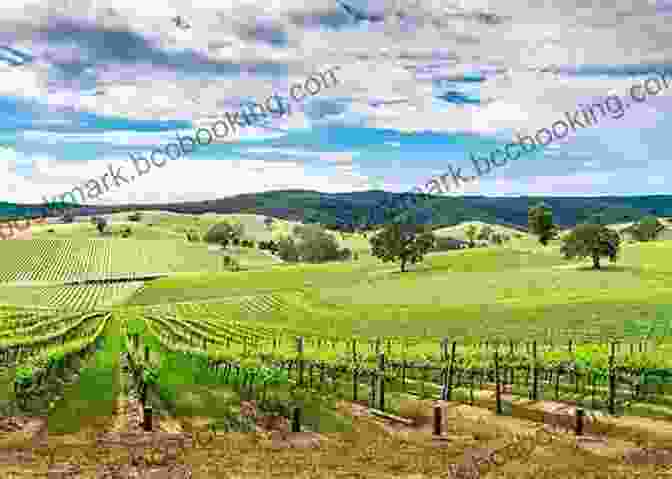 Barossa Valley Vineyards And Hills McLaren Vale Travel Guide (Unanchor): Savor South Australia In 3 Days: Just Add Wine