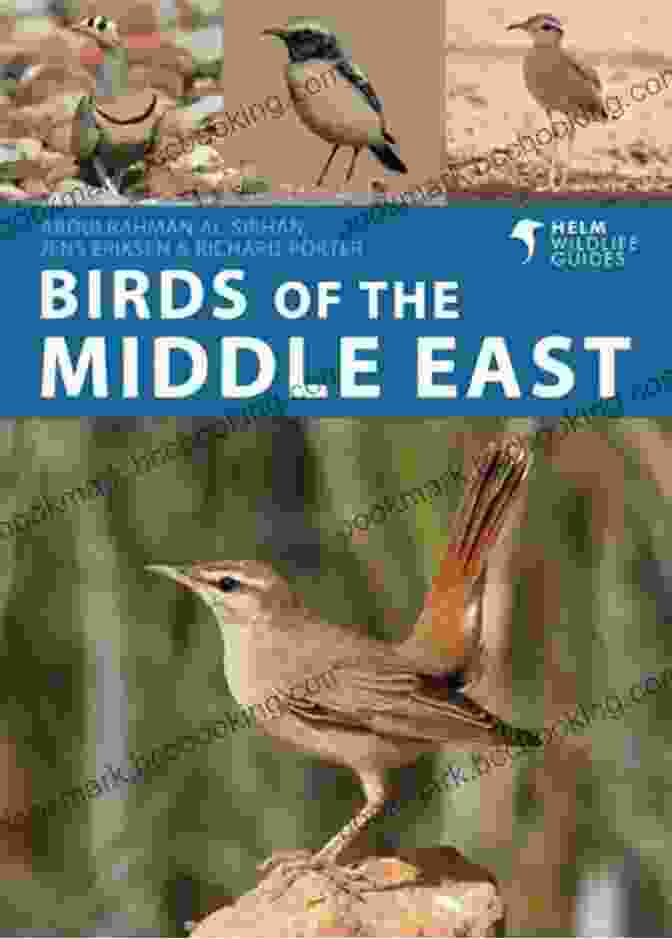 Birds Of The Middle East Helm Wildlife Guides Birds Of The Middle East (Helm Wildlife Guides)