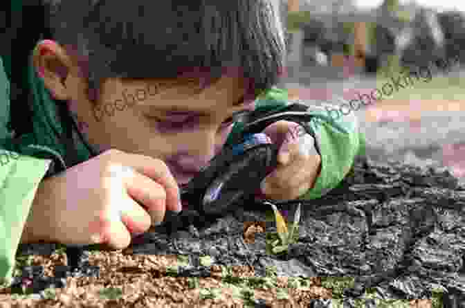 Children Exploring Nature With Magnifying Glasses 30 Minute Outdoor Science Projects (30 Minute Makers)