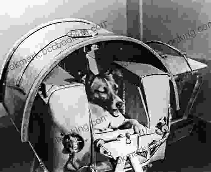 Dogs Of Kosmos Laika The Space Dog: First Hero In Outer Space (Animal Heroes)