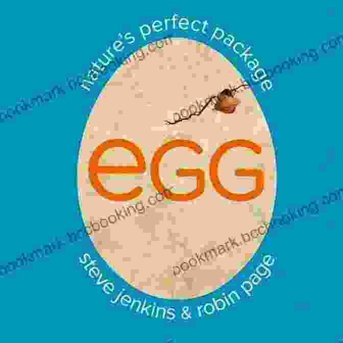 Egg Recipes Egg: Nature S Perfect Package Robin Page