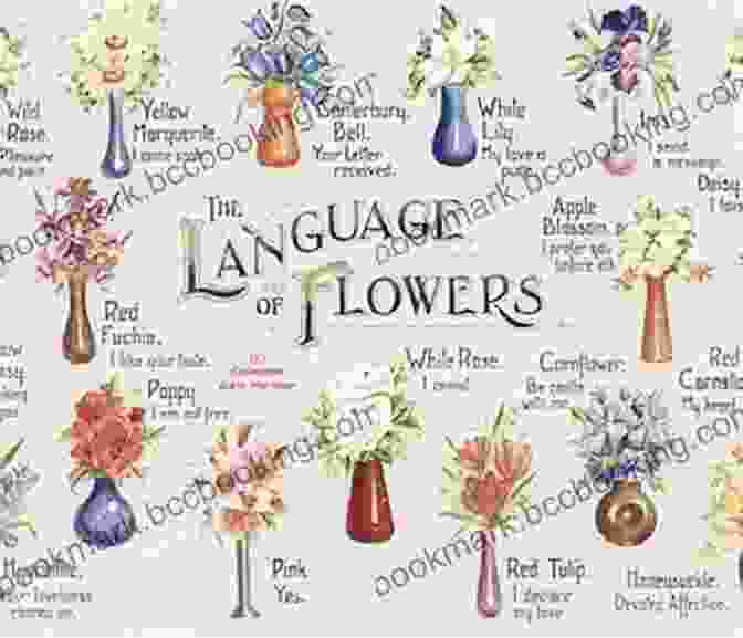 Elaborate Victorian Bouquet Floriography: An Illustrated Guide To The Victorian Language Of Flowers