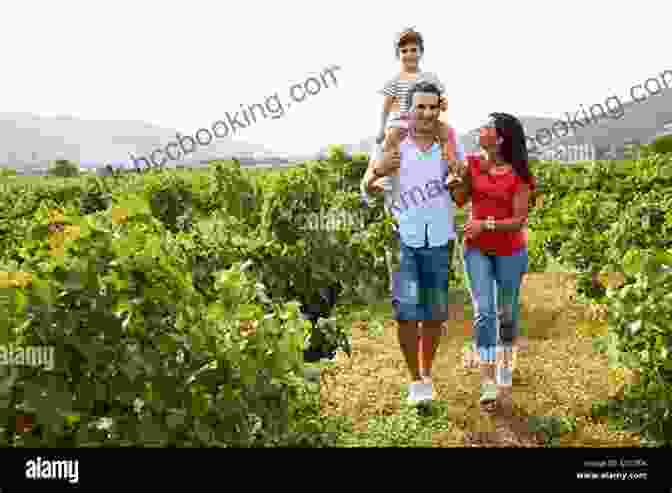 Family Hiking Through A Vineyard On Hvar Running Away To Home: Our Family S Journey To Croatia In Search Of Who We Are Where We Came From And What Really Matters