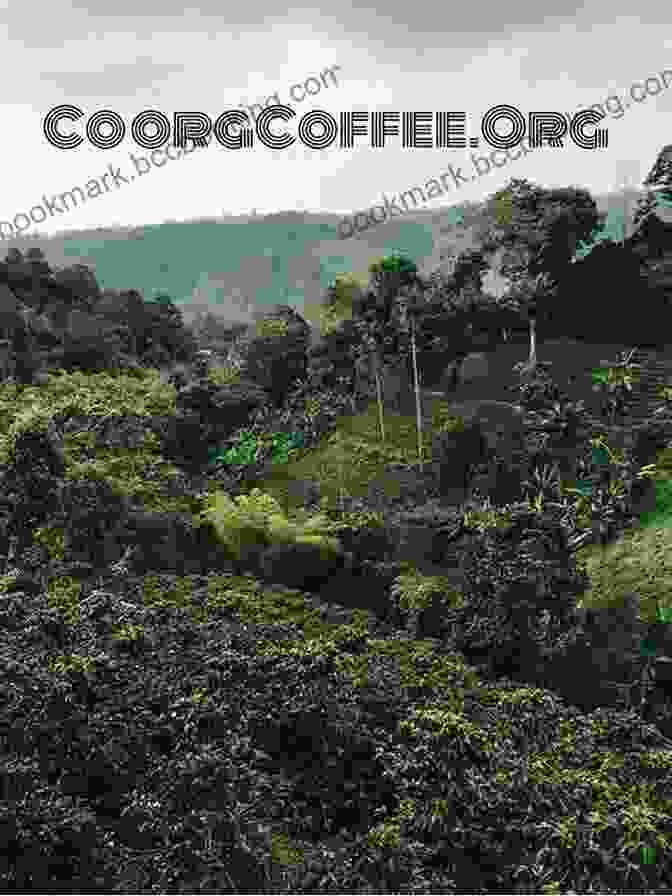 Grecia's Enchanting Coffee Plantation Grecia Costa Rica: A Guide To The Central Valley Town Of Grecia