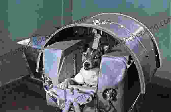 Laika, The Soviet Space Dog Laika The Space Dog: First Hero In Outer Space (Animal Heroes)