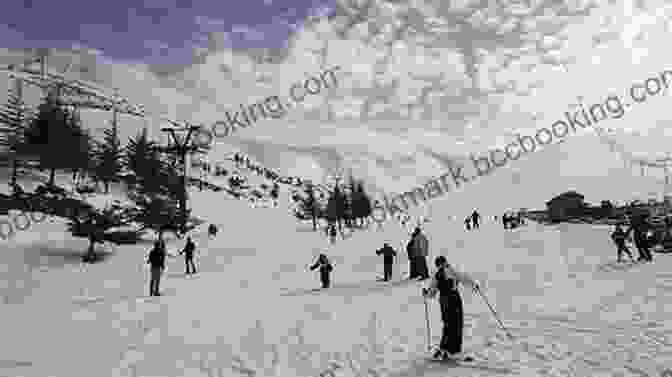Mount Lebanon Skiing The Ultimate Travel Guide To Lebanon 2024