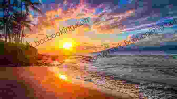 My Ticket To Paradise Book Cover Featuring A Breathtaking Sunset Over A Tropical Beach My Ticket To Paradise: Expat Snapshots Of Isla Taboga Panama