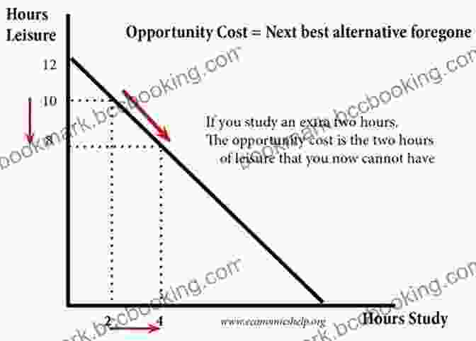 Opportunity Cost Diagram What You Need To Know About Opportunity Cost