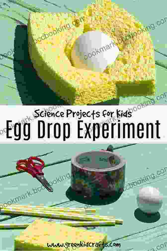 Science Behind The Egg Egg: Nature S Perfect Package Robin Page