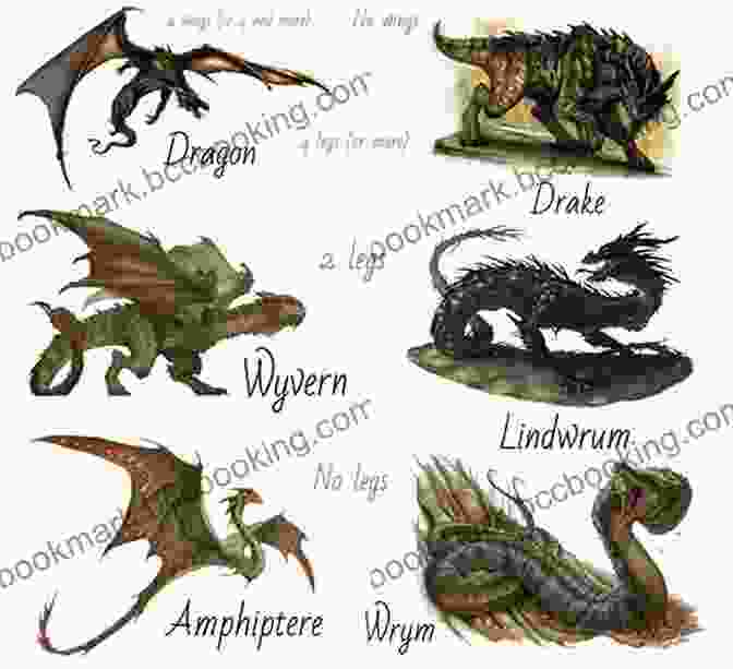 Showcase Of Diverse Dragon Types, Including Eastern Dragons, Western Dragons, Wyverns, Drakes, And Amphipteres Dragonart Evolution: How To Draw Everything Dragon