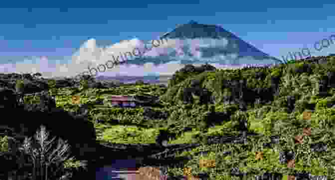 The Dramatic Landscape Of Pico, With Its Towering Mount Pico, Vineyards, And Rugged Coastline Azores Close Up And Very Personal: A Comprehensive Travel Guide To The Nine Islands Of The Azores
