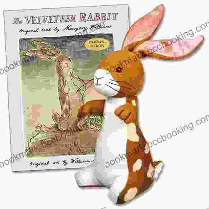 The Velveteen Rabbit Book Cover Featuring A Stuffed Rabbit Sitting On A Windowsill The Velveteen Rabbit Margery Williams