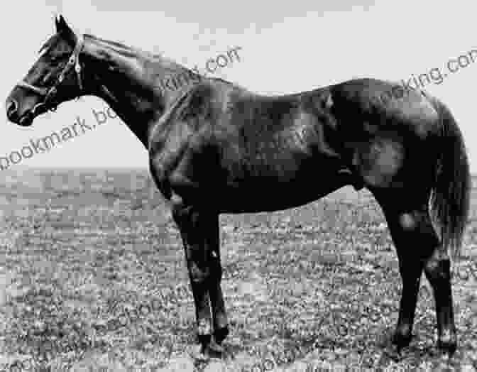 Triple Crown Winners Sir Barton And The Making Of The Triple Crown (Horses In History)
