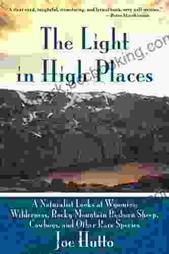 The Light In High Places: A Naturalist Looks At Wyoming Wilderness Rocky Mountain Bighorn Sheep Cowboys And Other Rare Species