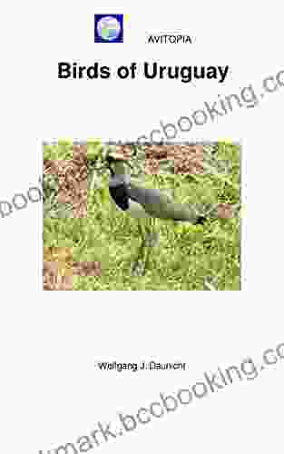 AVITOPIA Birds Of Uruguay