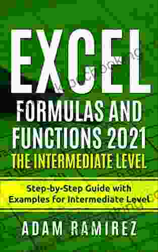 Excel Formulas And Functions 2024 The Intermediate Level: Step By Step Guide With Examples For Intermediate Level (Excel Academy 3)