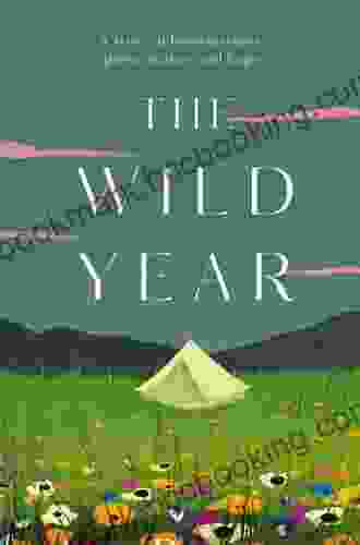 The Wild Year: A Story Of Homelessness Perseverance And Hope