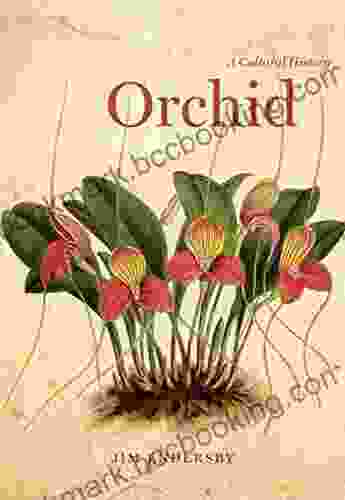 Orchid: A Cultural History Jim Endersby