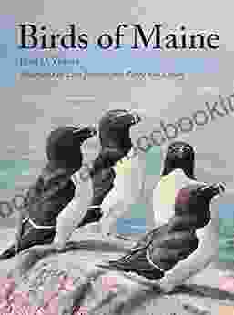 Birds Of Maine Jeffrey V Wells