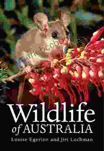 Wildlife Of Australia Louise Egerton